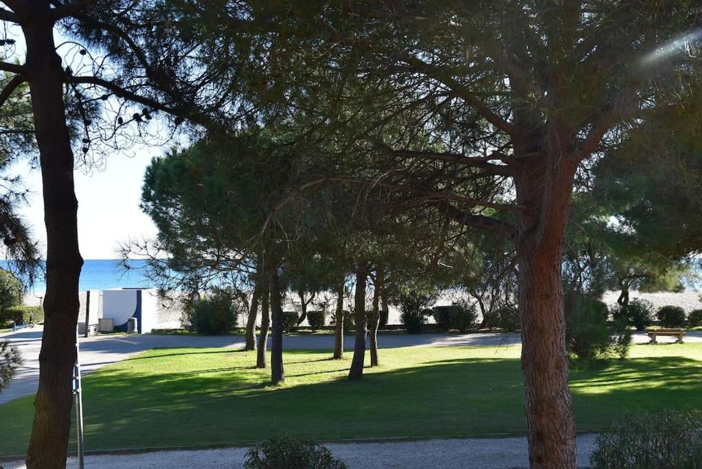 Le Byblos 9 - Vue - Climatisation * Plage d'Argeles